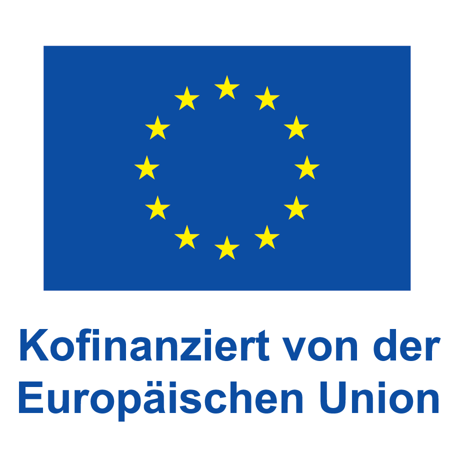 EU Logo